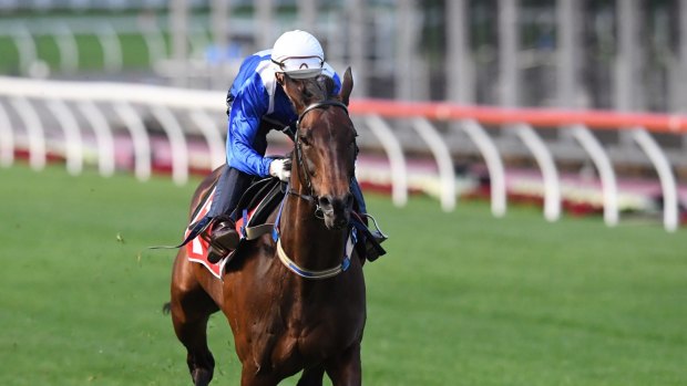 Cox Plate favourite Winx is taken for a gallop  at Moonee Valley on Tuesday.