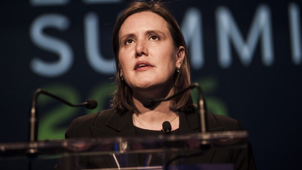 Federal Minister for Revenue and Financial Services Kelly O'Dwyer was a senior investment executive at NAB between 2007 and her preselection 2009.