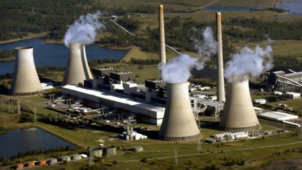 Bayswater power station in the Hunter Valley is being investigated after reports its blended coal to hide its emissions.