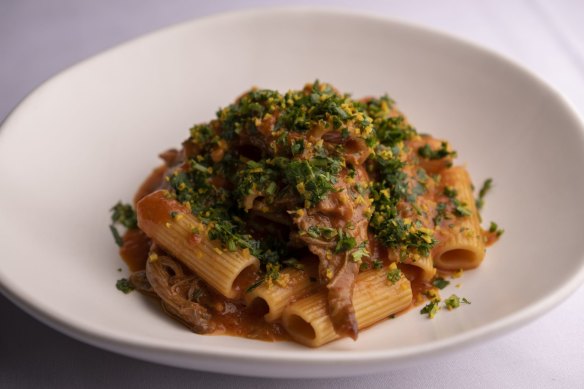 Rigatoni with a lamb ragu.