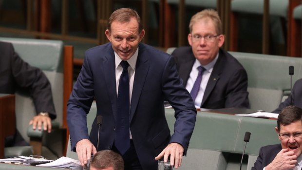 Tony Abbott during question time at Parliament House in Canberra.