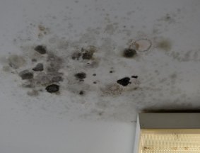 Water leaks have caused mould to grow on the ceiling of Grant Seears' apartment.