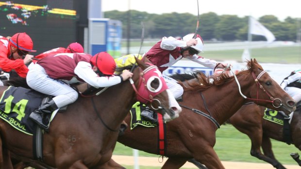 Whips cracking: Jockey use of whips in racing is set to be reviewed.