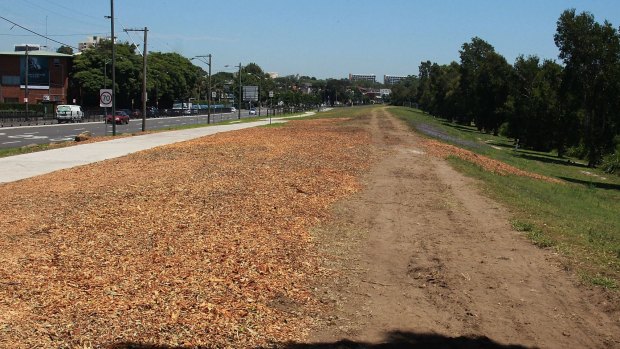 The barren land on Alison Road in Randwick where trees have been cut to make way for the light rail.