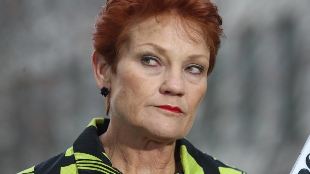 One Nation senator Pauline Hanson.