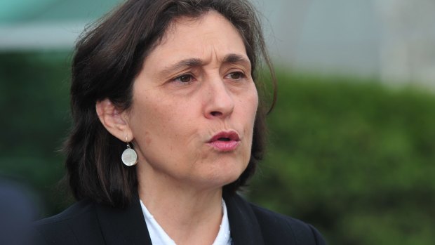 Environment minister Lily D'Ambrosio said the proposed project was "really exciting'.