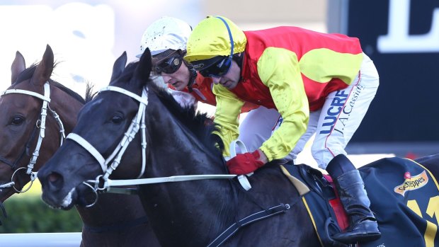 Pump action: Jim Cassidy, on Grand Marshal, pips Who Shot Thebarman  to win the Sydney Cup.