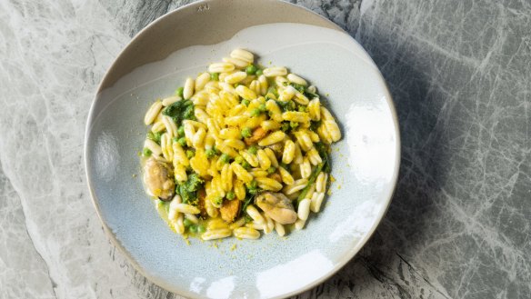 Cavatelli with mussels and peas. 