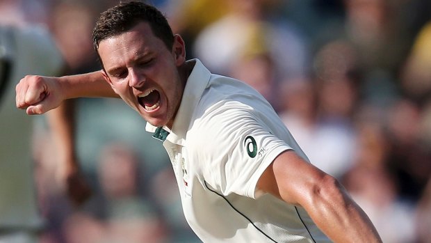 Pick of the bowlers, Josh Hazlewood took 17 wickets at just over 22.