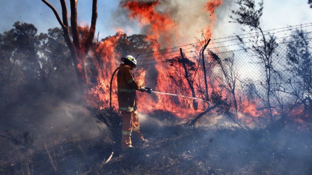 RFS attend a fire last week near Sydney.