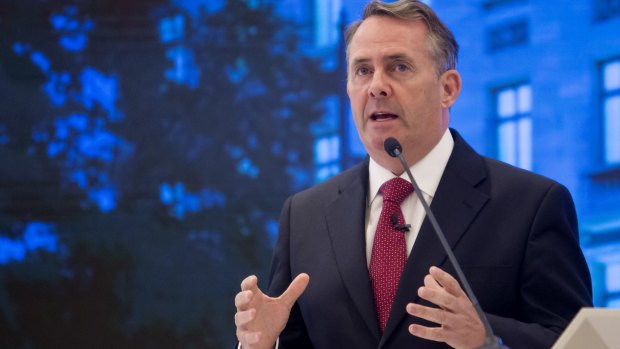 British Trade Minister Liam Fox has hinted the Brexit transition may continue beyond the March 2019 deadline.