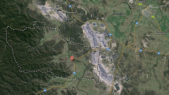 Claims of a cover-up and millions wasted in NSW native vegetation ...