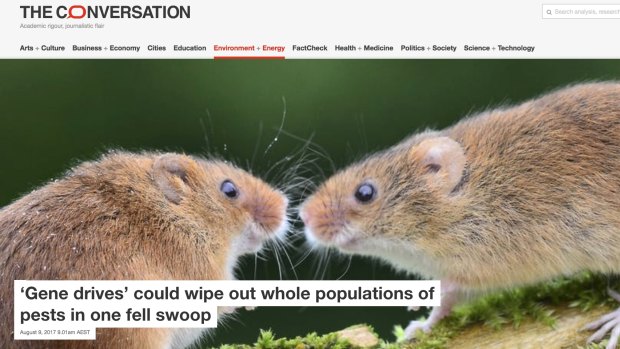 "I smelt a rat": A 2017 article on pest eradication using genetic technology on the website of <i>The Conversation</i>.  