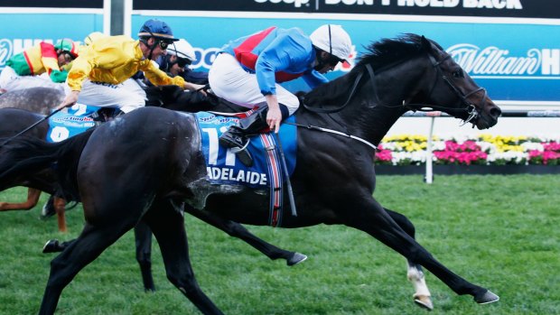 Adelaide wins the Cox Plate last year.