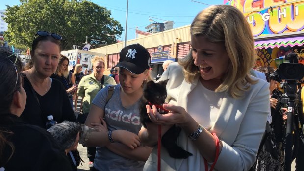 Prevention of Domestic and Family Violence Minister Shannon Fentiman and RSPCA kitten Figaro after the funding announcement at the Ekka on Tuesday.