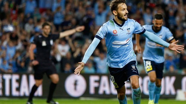 Cruel night: Milos Ninkovic scored, but then limped off later in the match.