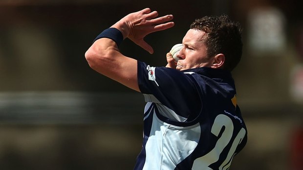 Vital cog: Peter Siddle bowls in the Matador One-Day Cup last week. 
