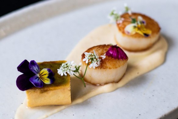 Scallops with celeriac puree and avocado brulee.