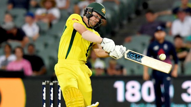 Home and hosed: South Australian Travis Head top-scored for the victors in Adelaide with 96.
