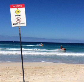 Does the fear of a potential shark attack stop you from taking a dip? 
