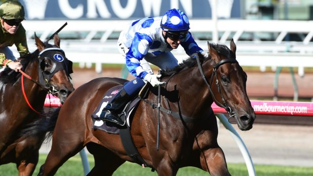 Strong win: Nick Hall rides Throssell to victory in the Anzac Day Stakes at Flemington.