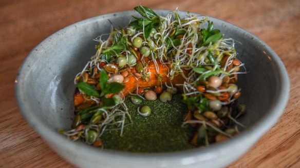 Pumpkin with sprouted seeds.