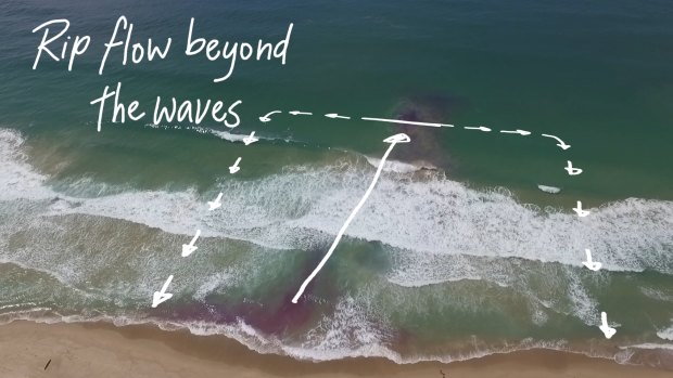 An image from the Jason Markland documentary on rip currents shows how a rip can flow out and back to shore.