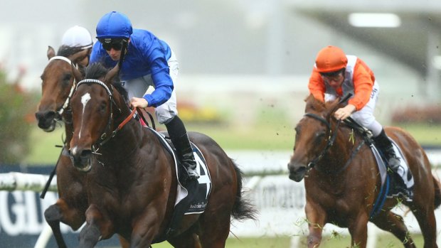 Set to win: Impending shapes as a strong chance in the Stan Fox Stakes at Rosehill Gardens.