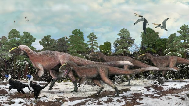 The nine-metre-long Yutyrannus, were covered in downy feathers, suggesting the T. rex may well have been feathered itself.