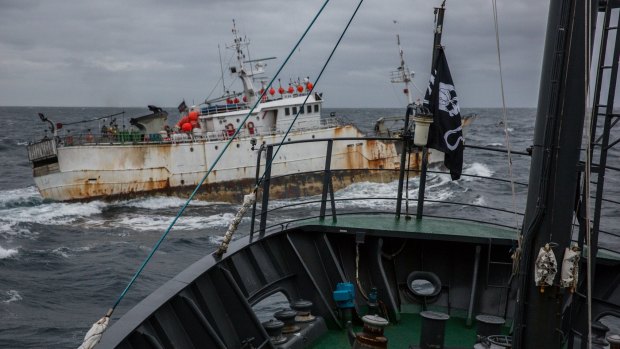 The pirate fishing boat Yongding in near collision with Sea Shepherd ship, Sam Simon.