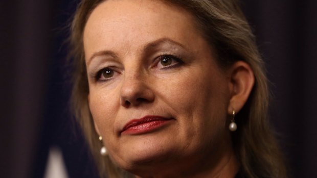 Sport  Minister Sussan Ley said it was ''inappropriate to be talking about putting more taxpayers' funds into a rebid when we have serious allegations about corruption unfolding''.