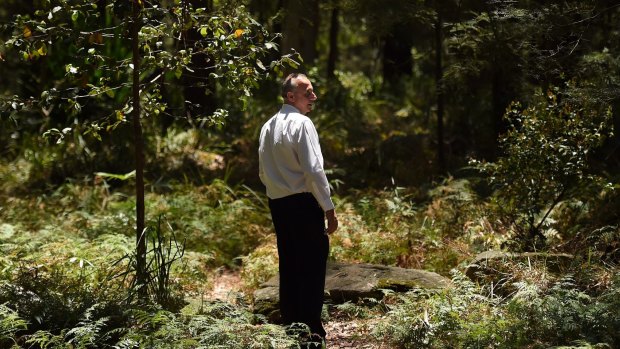 A homicide squad detective examines bushland inside a crime scene in the search for Mr Leveson's remains. 