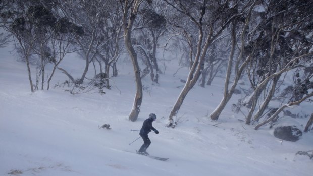 Thredbo's looking good for now but the longer term outlook is less appealing.