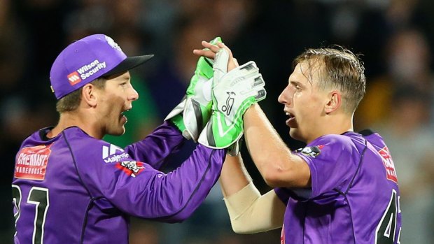 Not good enough: Hurricanes skipper Tim Paine had very little to get excited about against the Renegades.