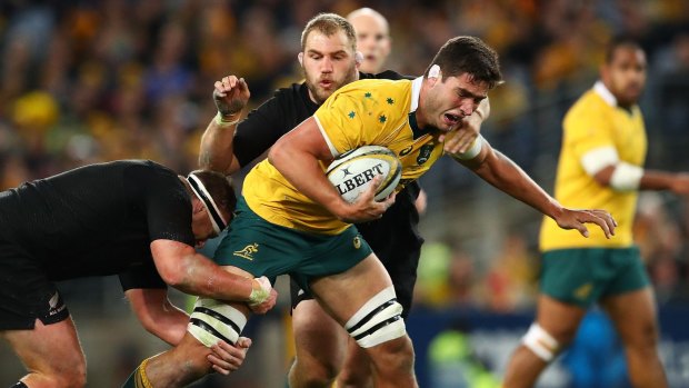 Golden run may be over: Rob Simmons takes on the All Blacks in last season's Bledisloe Cup.