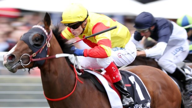 Craig Williams rides Snitzepeg to victory
in the Polytrack Gothic Stakes.