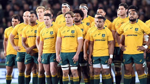 Signs of recovery: The Wallabies front up to the haka before the Bledisloe Cup clash in Dunedin.