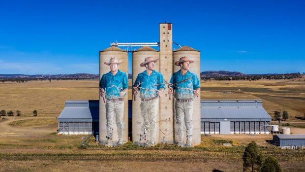 Barraba Silo Art, Tamworth.