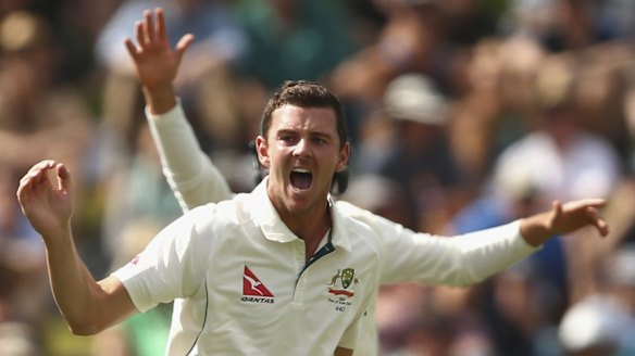 Determined: Josh Hazlewood hopes he will be reunited with Mitchell Starc in the WACA Ground Test next month.