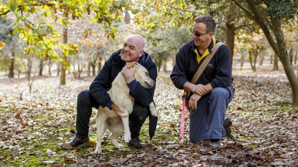 Chef Mark Best (left) and Australian Truffle Traders' Gavin Booth in Manjimup, Western Australia.