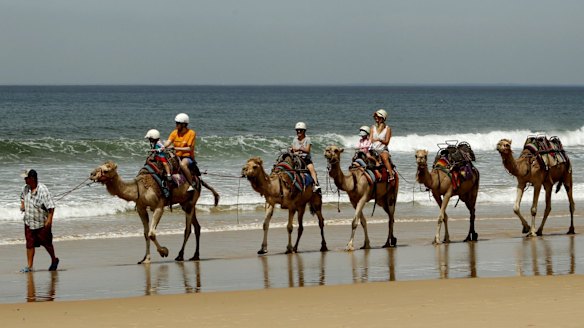 Escape the winter and head to Port Stephens in NSW