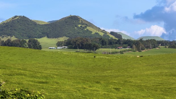 Fields and volcanoes along Kohala Mountain Road on Big Island.