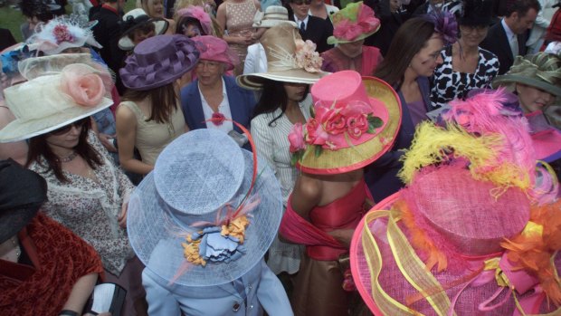 The Melbourne Cup is marketed as a fun day out, but it hides a cruel reality.