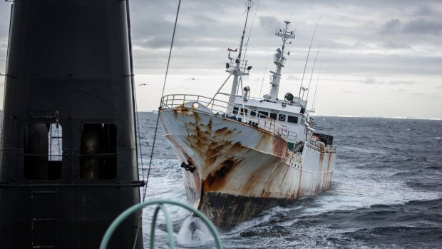 Pirate fishing boat Yongding in near collision with Sea Shepherd ship, Sam Simon.