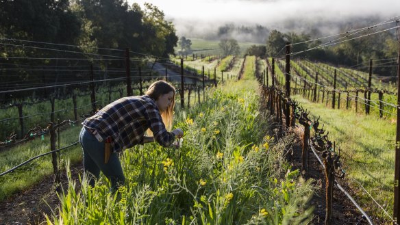 Katina Connaughton says after taking up gardening in rural Japan, 'everything  started to make sense'.