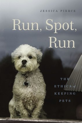 <i>Run, Spot, Run</i> by Jessica Pierce.