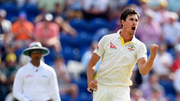 Gutsy effort ... Mitchell Starc celebrates after bowling Ben Stokes. The 25-year-old Baulkham Hills native was regularly hitting speeds over 150km/h despite operating with an injured ankle. 