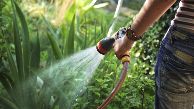 In 2001 the average Queenslander used 300 litres of water per day to wash, eat, drink and in the garden.
In 2015 that figure is 169 litres per day.