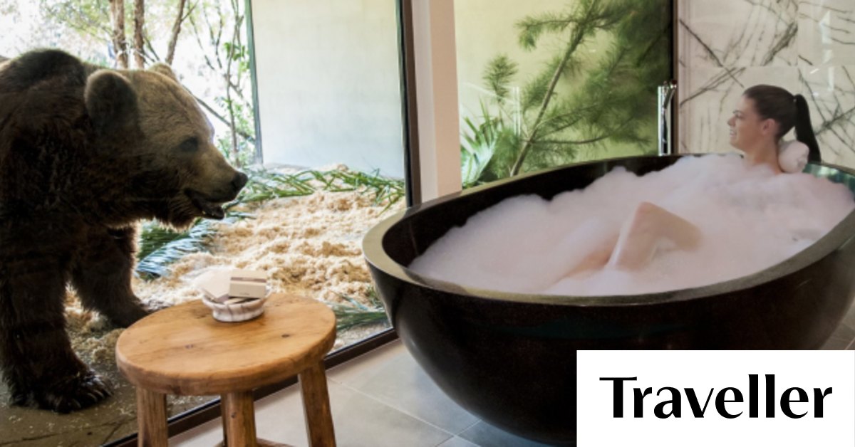 Jamala Wildlife Lodge, National Zoo, Canberra The lion sleeps with you