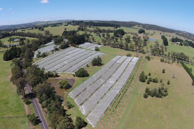 Southern Highlands Oldest Winery Sells For 2m
